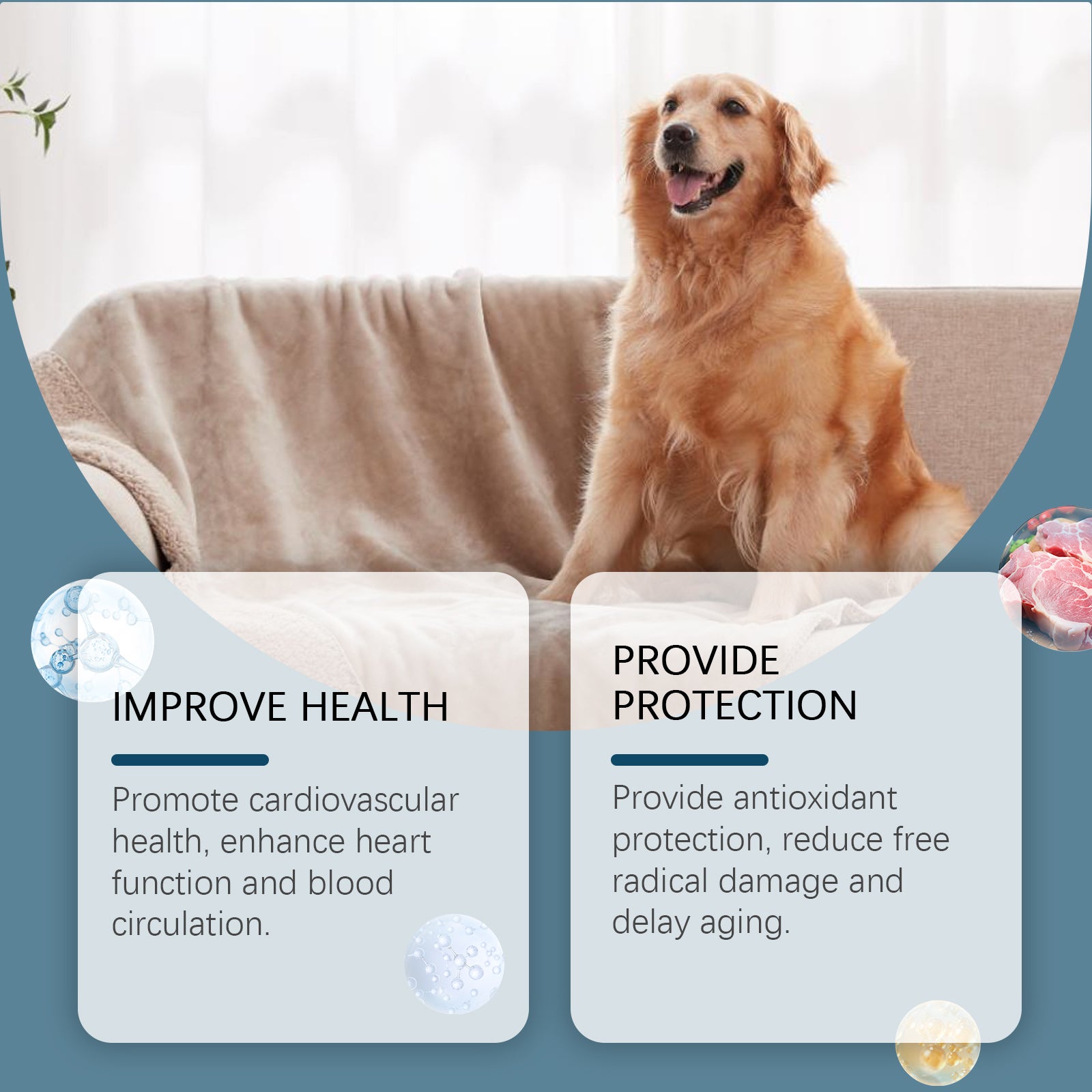 6ce9708f7030d7772257a0335e7e7920